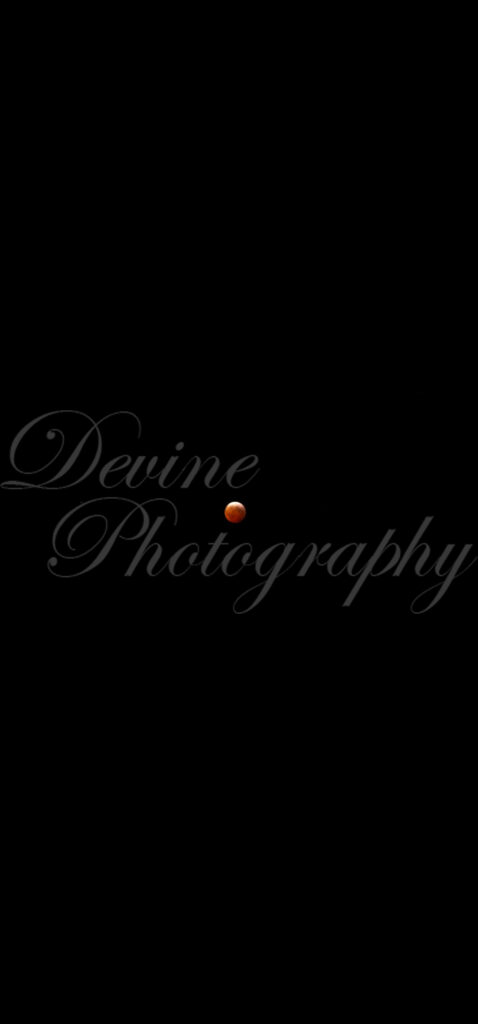 Blood Moon